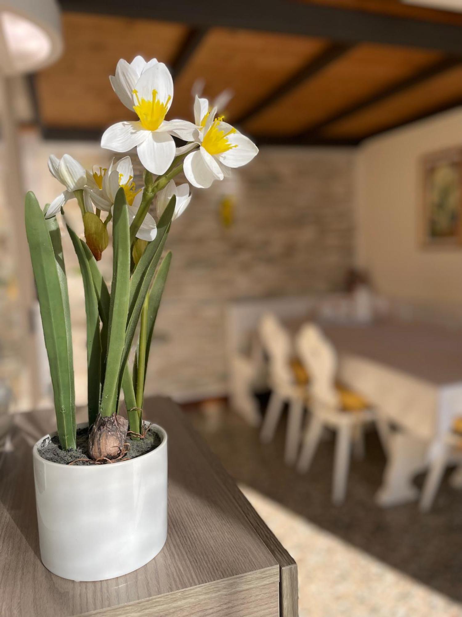 Apartament Elena Casa Turistica Padwa Zewnętrze zdjęcie